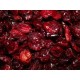 CRANBERRIES CANNEBERGE JUS DE POMME 11,34KG CANADA BIO