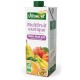 JUS MULTIFRUITS 1L BRICK BIO